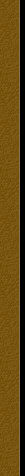 EVERQUEST Gold